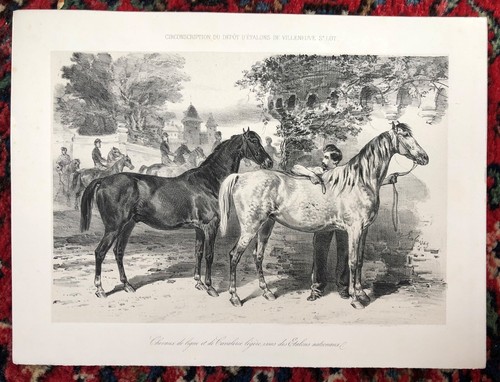 Lithographie originale - lithographie,
