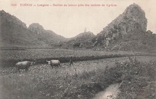TONKIN Langson Buffaloes in Plough 4502