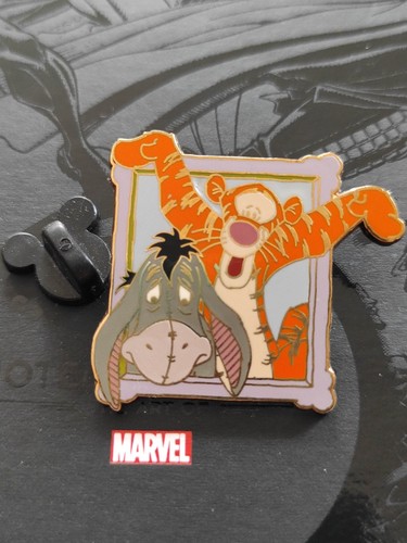 A10 pin disneyland - pin's,
