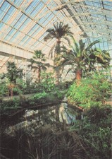 ROYAUME UNI KEW ROYAL BOTANIC