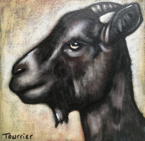 Tableau portrait chèvre - tableau,