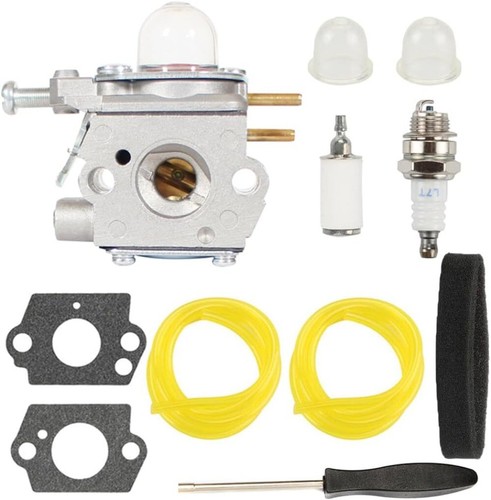 Ws2200 carburateur pour - ws2200,