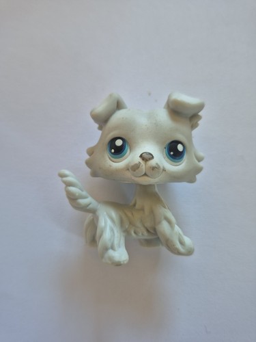 Figurine petshop colley 363 - figurine,