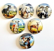 News -Série de 6 Capsules de champagne HAZART ( Les Lévriers )