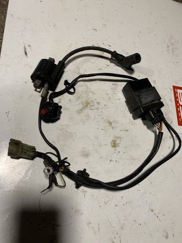 Fuseau électrique ecu cdi - fuseau,