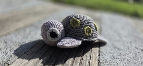 Tortue hochet - tortue,