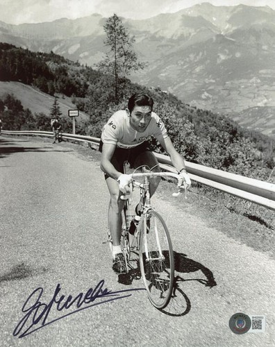 Eddy merckx signed 8x10 - eddy,