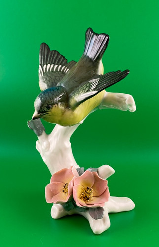 Karl ens blue tit bird - blue,