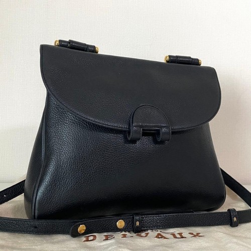 Delvaux brillant grained - brillant,