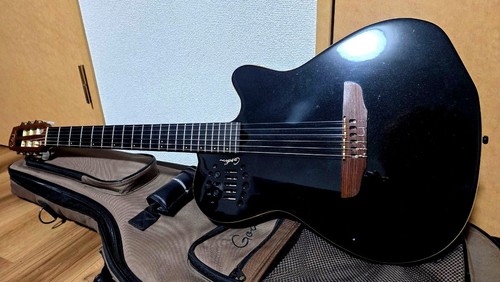 Guitare acoustique godin - acoustique,