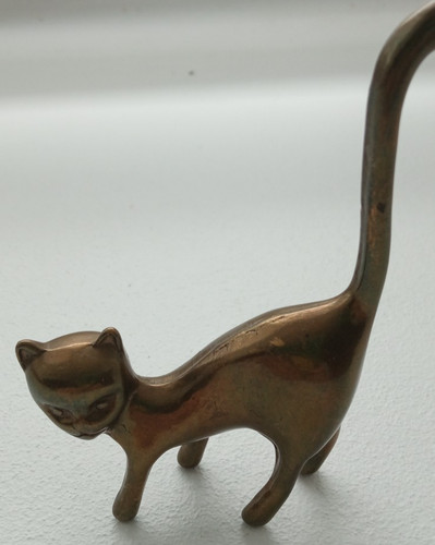 Chat chaton porte - chat, en