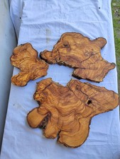 Dalle en bois d'olivier 51 x