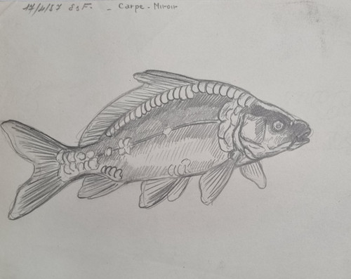 Dessin original marcel - de,