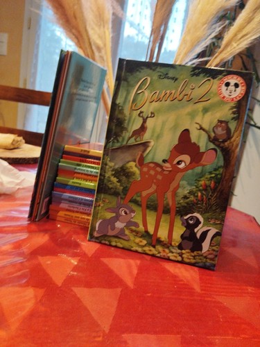 Lot livres disney club - lot,