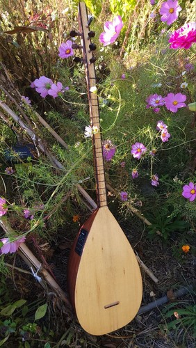Turkish baglama saz seven - turkish,