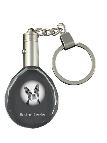 Porte clés boston - porte-clés, terrier