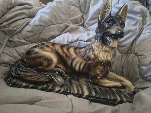 Grand chien berger - grand, allemand
