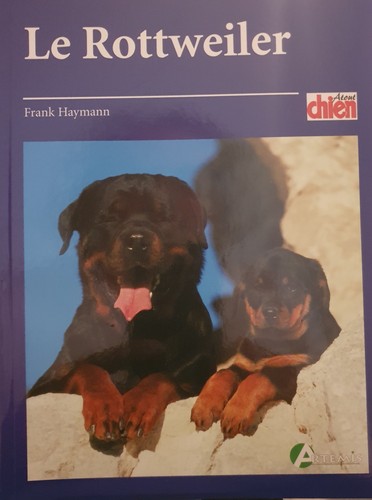 Rottweiler franck haymann - rottweiler,