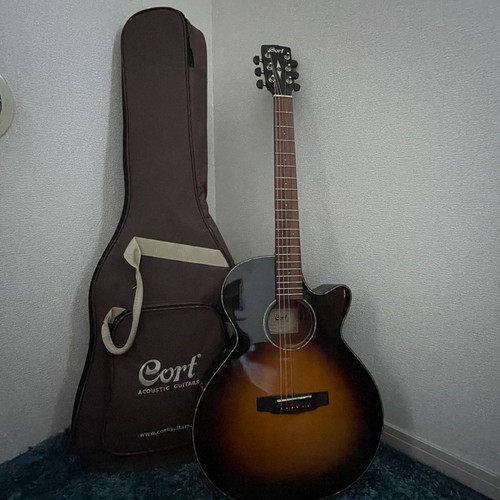 Guitare acoustique électrique