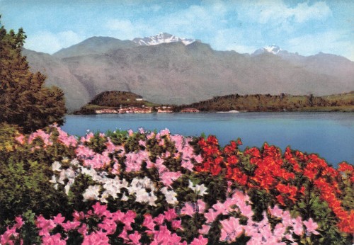 Italie bellagio villa carlotta - bellagio,