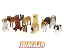 LC10 Lot 10 chiens Résine 6