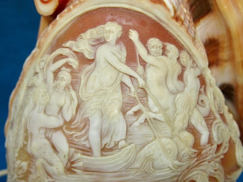 Cameo shell lamp - shell, camÉe