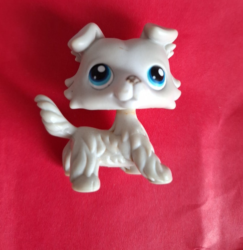 Authentic littlest petshop - authentic,