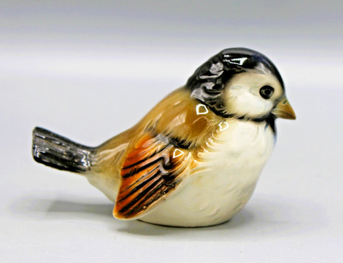 Beau moineau oiseau - oiseau, en