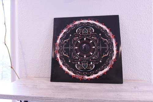 Shinedown amaryllis with - shinedown,