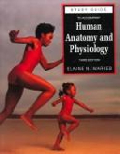 Anatomie humaine - anatomie, et