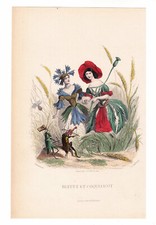 Gravure XIX Bleuet Coquelicot