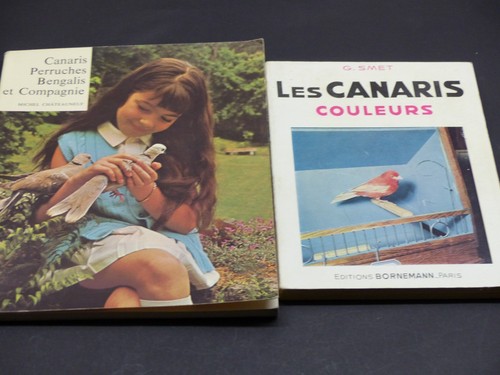 Canaris perruches bengalis - canaris,
