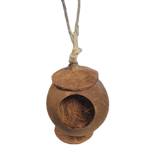 Une maison noix coco pour - une,