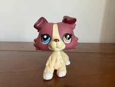 Petshop colley n°1262