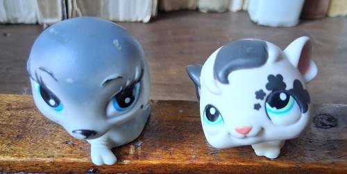 Littlest pet shop - , cochon