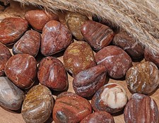 Pierre roulée en bois fossile