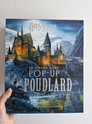 Grand livre pop harry - grand,