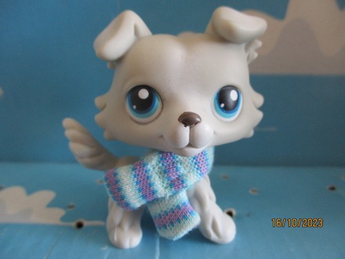 Petshop chien colley 363 - colley, n°363
