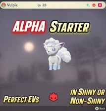 ALOLA VULPIX ALPHA ? SHINY STARTER - Pokemon Legends: Arceus | EV Trained