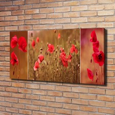 Tulup Image Sur Toile Tableau