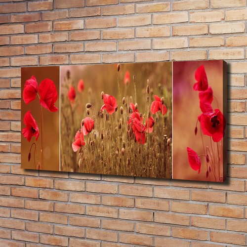 Tulup image sur toile tableau - tulup,