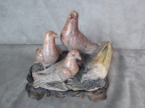 Les pigeons pierre - les, pigeons.