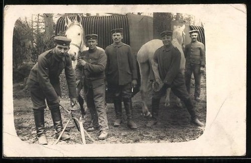 Carte postale photo