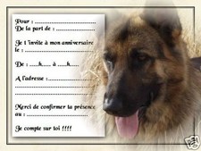 5 ou 12 cartes invitation