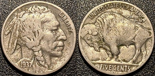 états unis cents buffalo - États-unis, 5