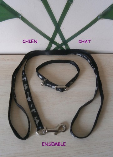 Ensemble laisse et - laisse, collier