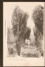 CONGO BELGE-KINSHASA  cpa  La