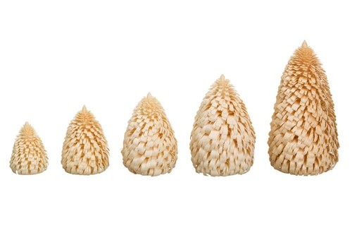 Ringelbaum winterfichte nature - winterfichte,