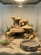 Rock Hideout Natural Stone