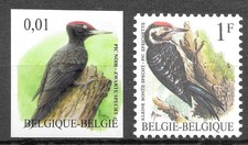 Belgique Oiseaux Buzin Pics